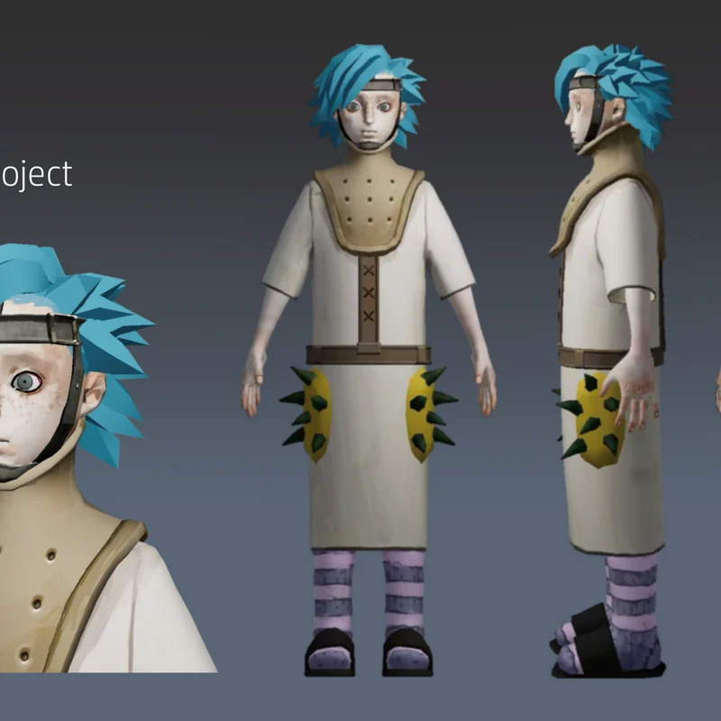 Fin project cover