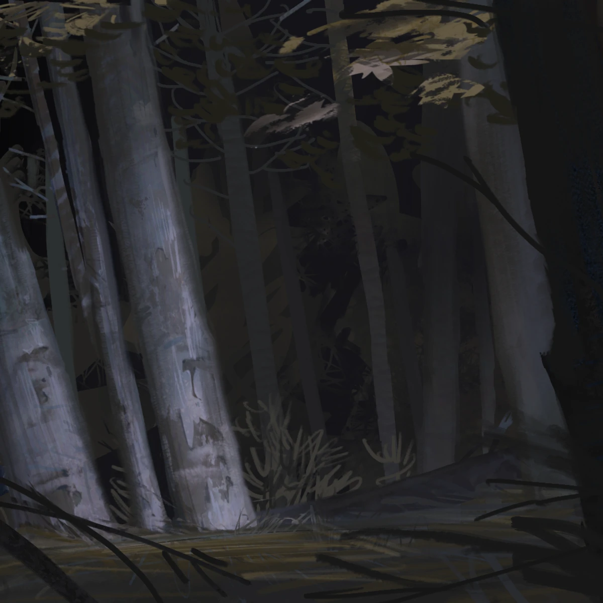 Forest project cover